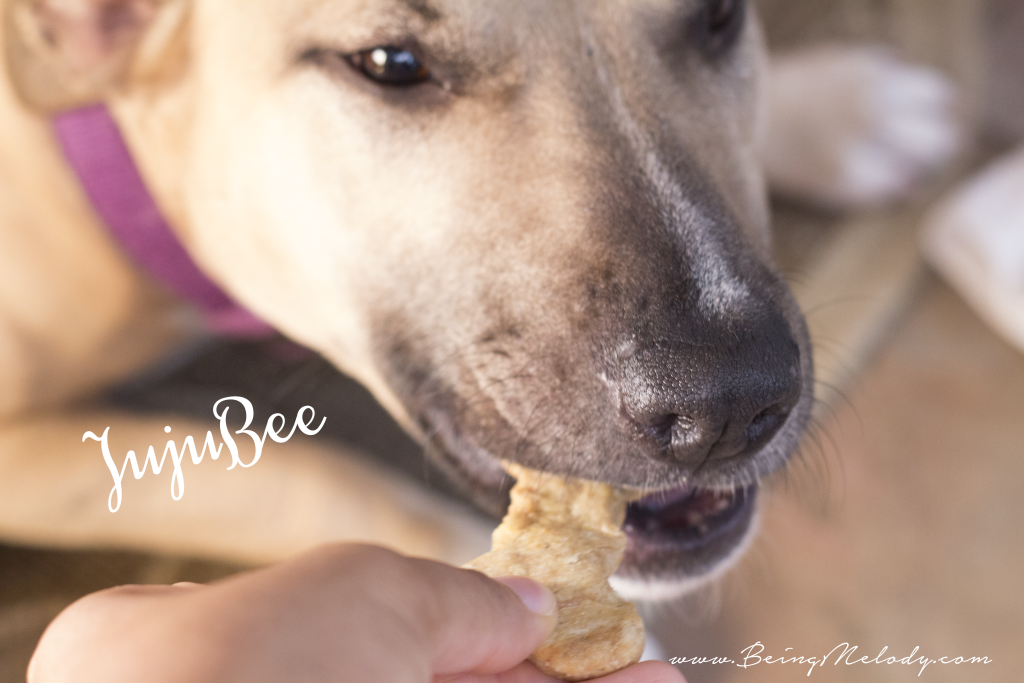 Homemade Dog Treats, Dog Biscuits, Peanut Butter and Chicken Dog Biscuits