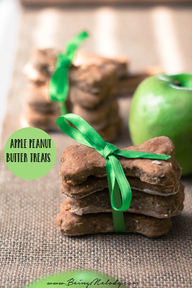 Apple Peanut Butter Dog Treats