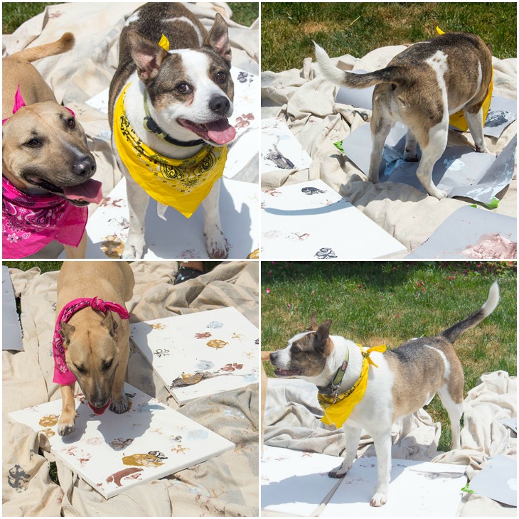 Dog Art Day With Jada and Jujubee Collage