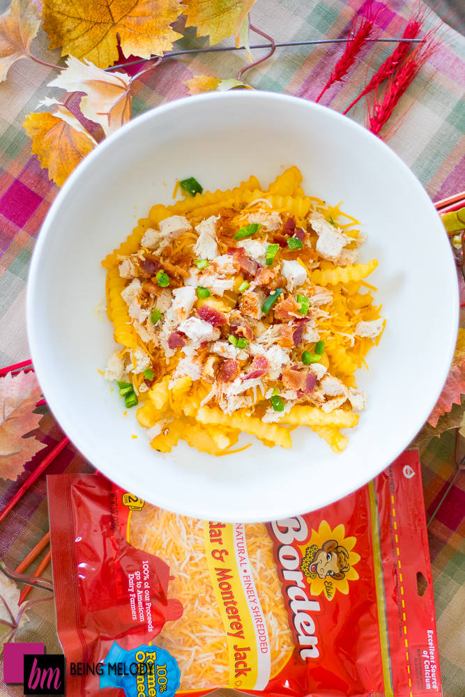 turkey-day-loaded-cheese-fries-www-beingmelody-com-2-of-4
