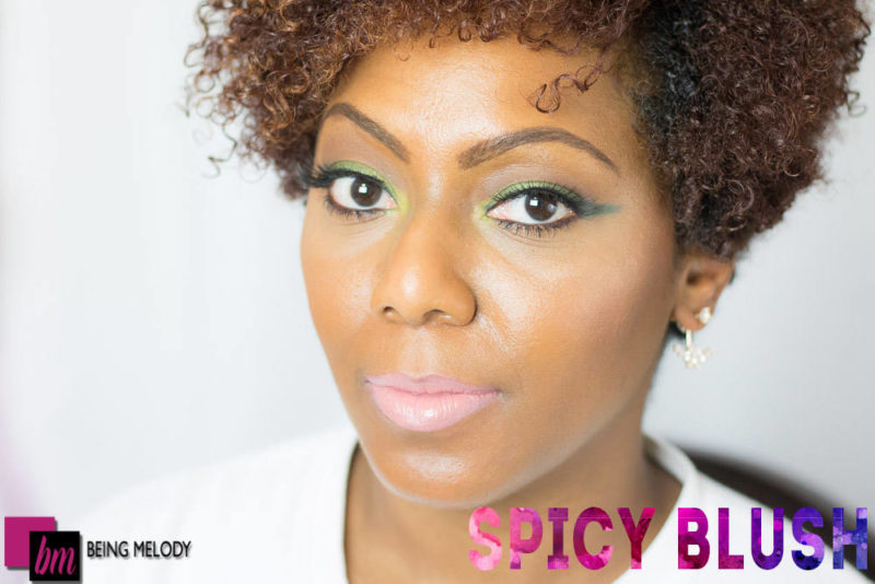 Loreal Infallible Lip Paint- Spicy Blush- www.beingmelody.com